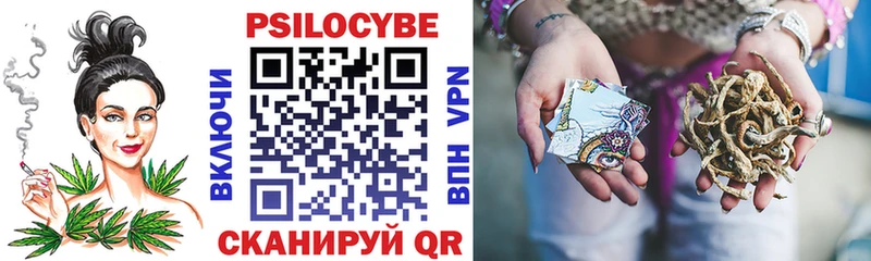 купить закладку даркнет наркотические препараты Галлюциногенные грибы Magic Shrooms Сусуман кракен онион