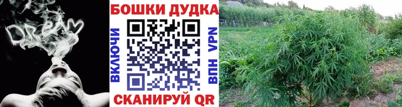 Бошки Шишки OG Kush  сайты даркнета наркотические препараты  Сусуман 